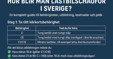Lastbil på väg i Sverige – chaufförsyrket och utbildningsvägar